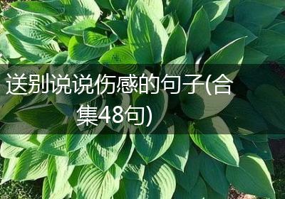 送别说说伤感的句子(合集48句)