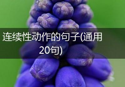 连续性动作的句子(通用20句)