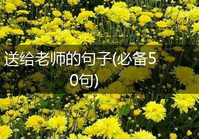 送给老师的句子(必备50句)