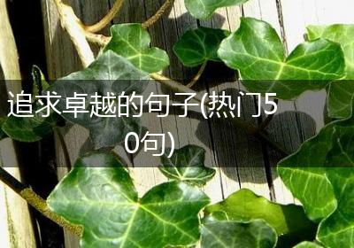 追求卓越的句子(热门50句)