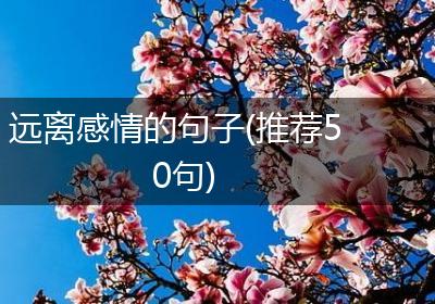 远离感情的句子(推荐50句)