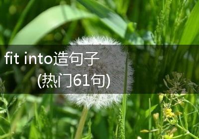 fit into造句子(热门61句)