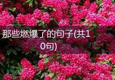 那些燃爆了的句子(共10句)