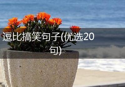 逗比搞笑句子(优选20句)