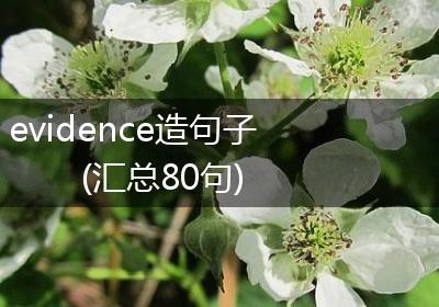 evidence造句子(汇总80句)