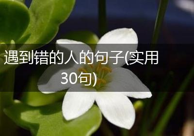 遇到错的人的句子(实用30句)