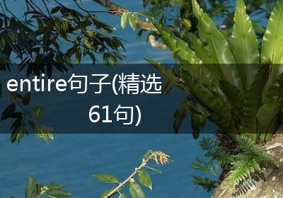 entire句子(精选61句)