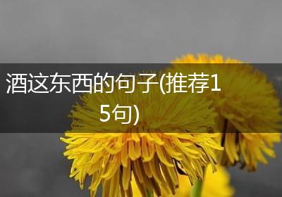 酒这东西的句子(推荐15句)