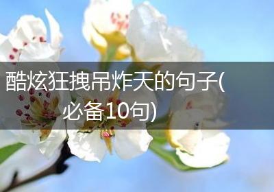 酷炫狂拽吊炸天的句子(必备10句)