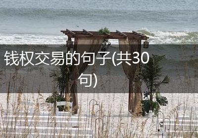 钱权交易的句子(共30句)