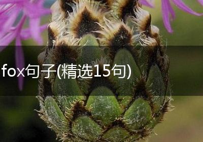 fox句子(精选15句)