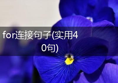 for连接句子(实用40句)