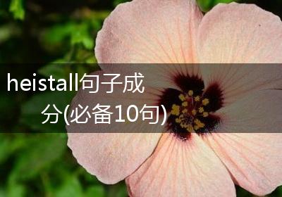 heistall句子成分(必备10句)
