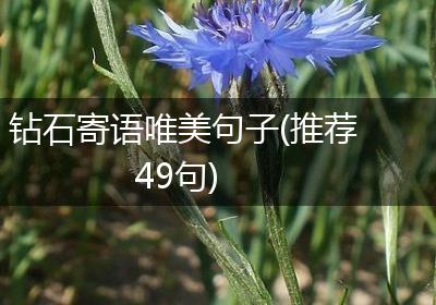 钻石寄语唯美句子(推荐49句)