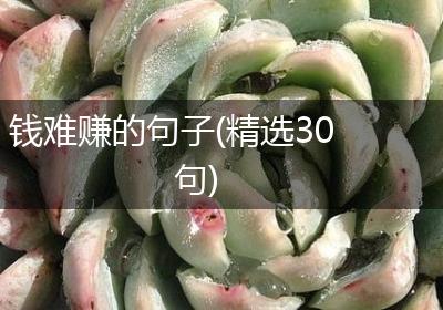 钱难赚的句子(精选30句)