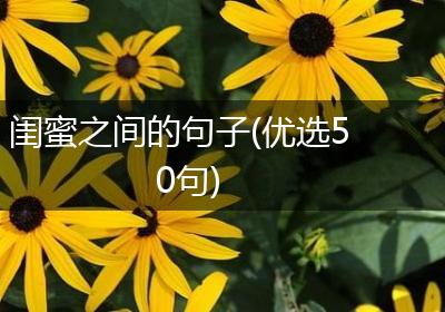 闺蜜之间的句子(优选50句)