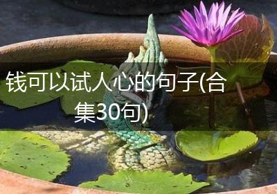 钱可以试人心的句子(合集30句)