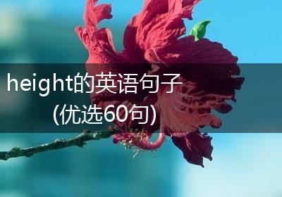height的英语句子(优选60句)