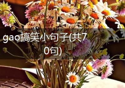 gao搞笑小句子(共70句)