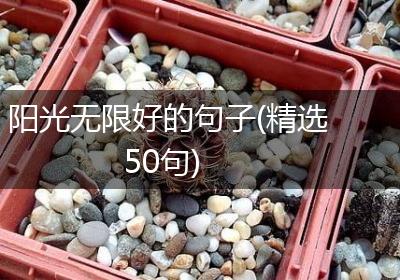 阳光无限好的句子(精选50句)