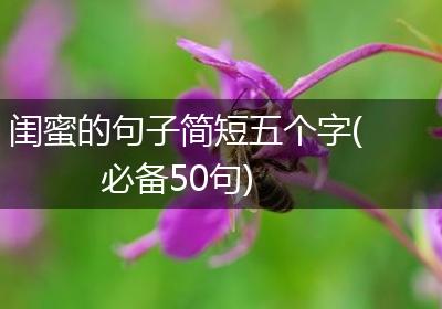 闺蜜的句子简短五个字(必备50句)