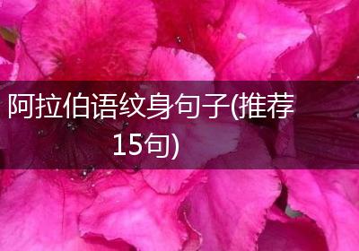 阿拉伯语纹身句子(推荐15句)
