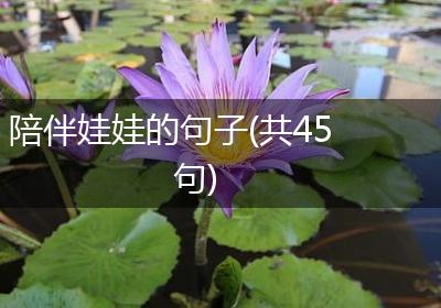 陪伴娃娃的句子(共45句)
