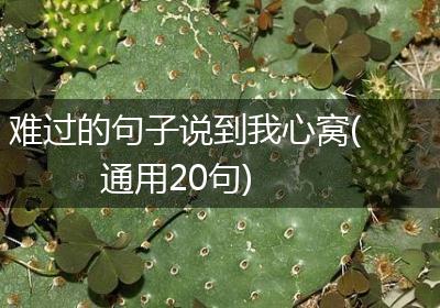 难过的句子说到我心窝(通用20句)
