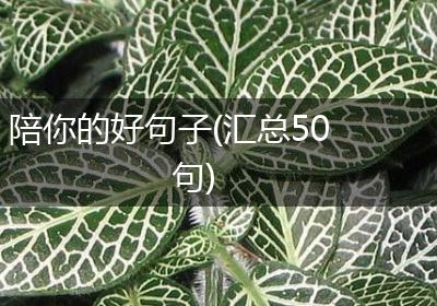 陪你的好句子(汇总50句)