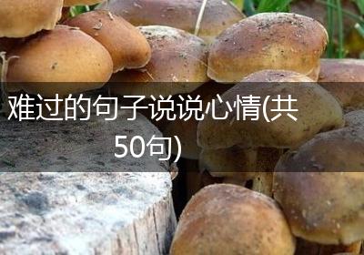 难过的句子说说心情(共50句)