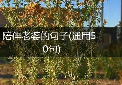 陪伴老婆的句子(通用50句)