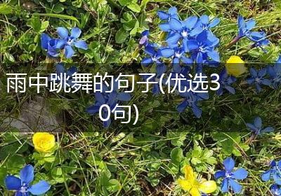 雨中跳舞的句子(优选30句)