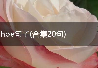 hoe句子(合集20句)