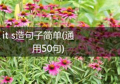 it s造句子简单(通用50句)