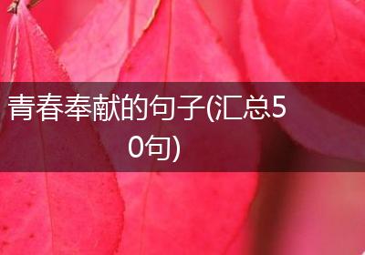 青春奉献的句子(汇总50句)