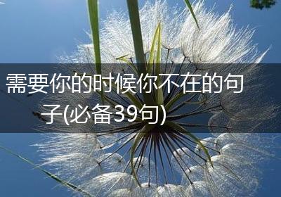 需要你的时候你不在的句子(必备39句)