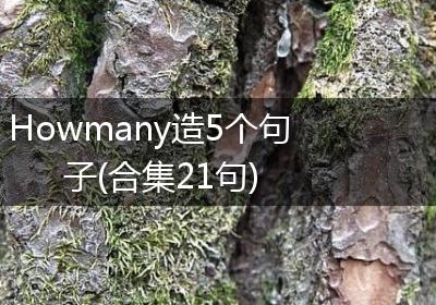 Howmany造5个句子(合集21句)