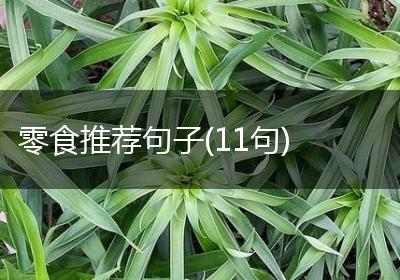 零食推荐句子(11句)