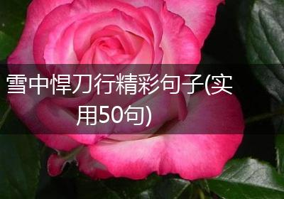 雪中悍刀行精彩句子(实用50句)
