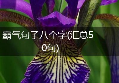 霸气句子八个字(汇总50句)