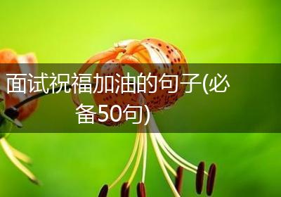 面试祝福加油的句子(必备50句)