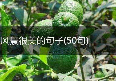 风景很美的句子(50句)