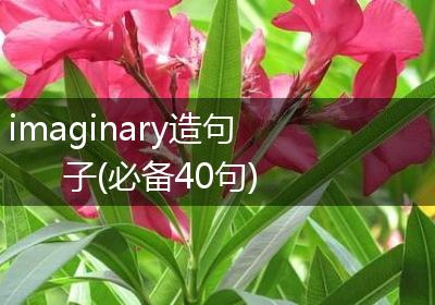 imaginary造句子(必备40句)