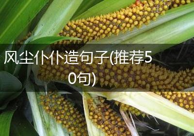 风尘仆仆造句子(推荐50句)