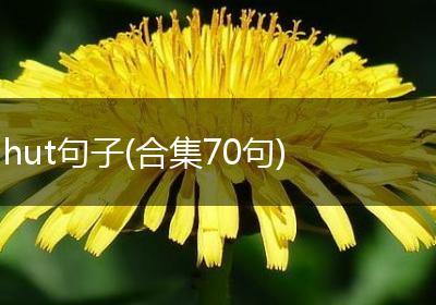 hut句子(合集70句)
