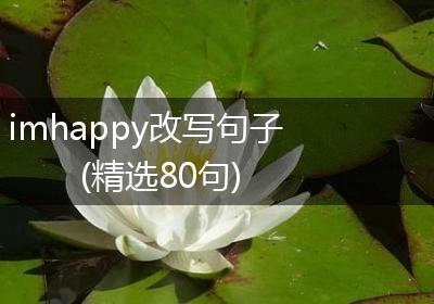 imhappy改写句子(精选80句)