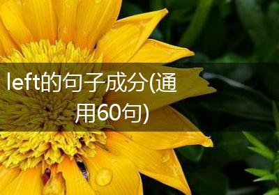 left的句子成分(通用60句)