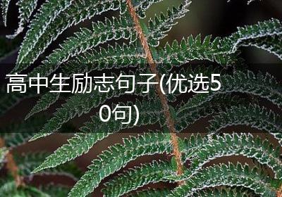 高中生励志句子(优选50句)
