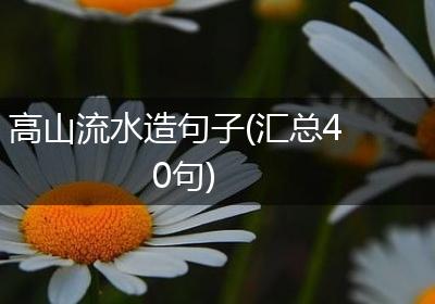 高山流水造句子(汇总40句)