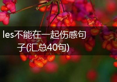 les不能在一起伤感句子(汇总40句)